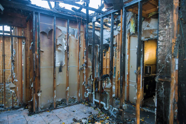 Professional Fire Damage Removal technician working in Shakopee, MN